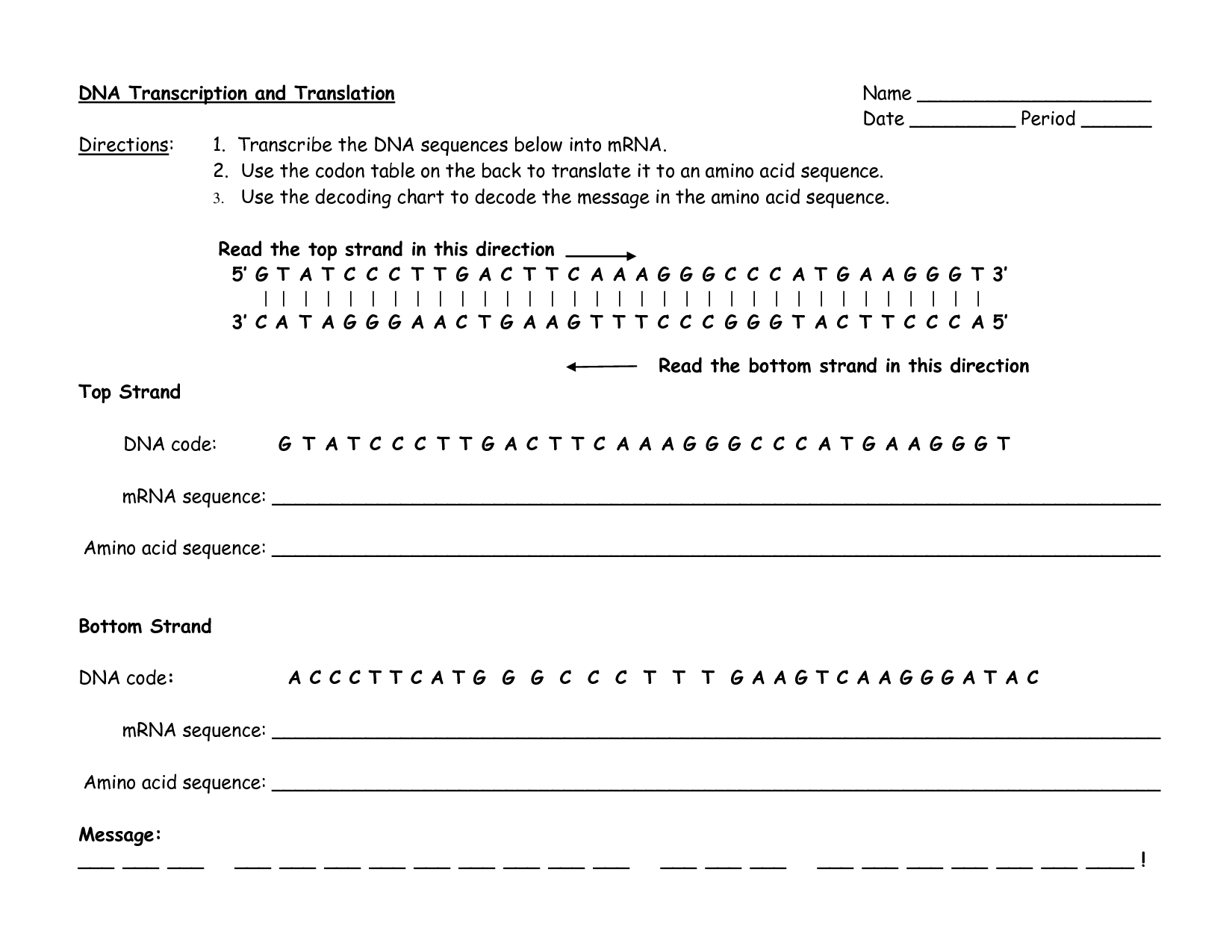 Solved: DNA Transcription And Translation Directions: 1. T ...