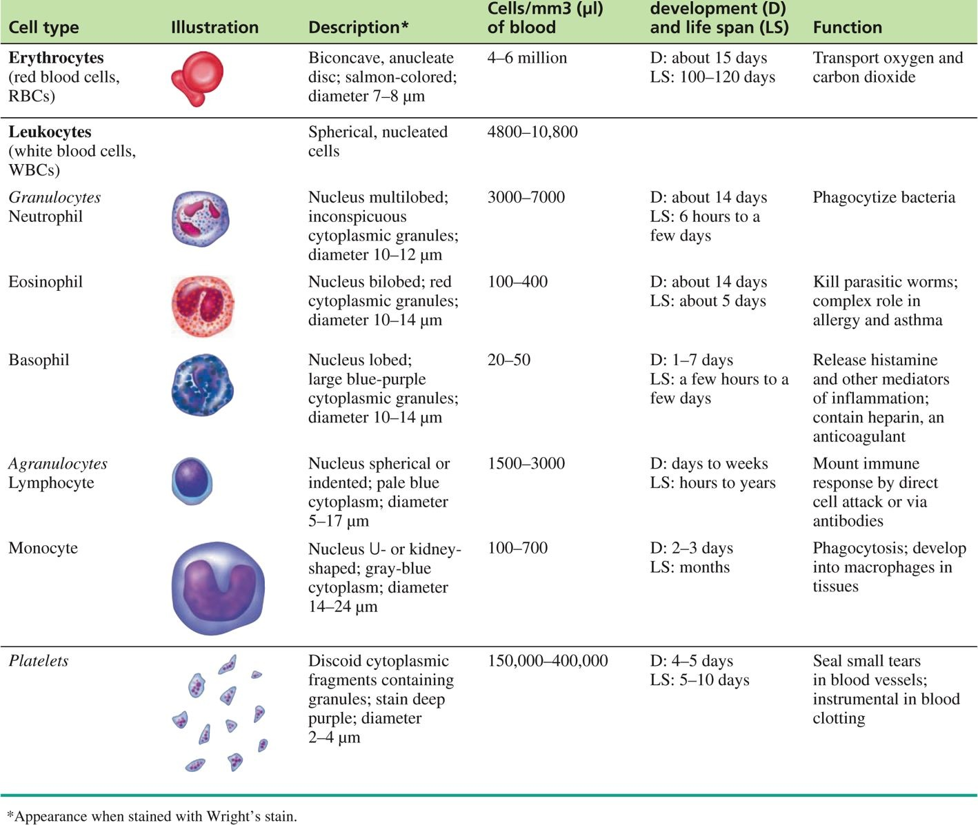 Клетки мм. Blood Cells and their functions. Blood Cells Types. Cell Types. Diameter of Red Blood Cell.