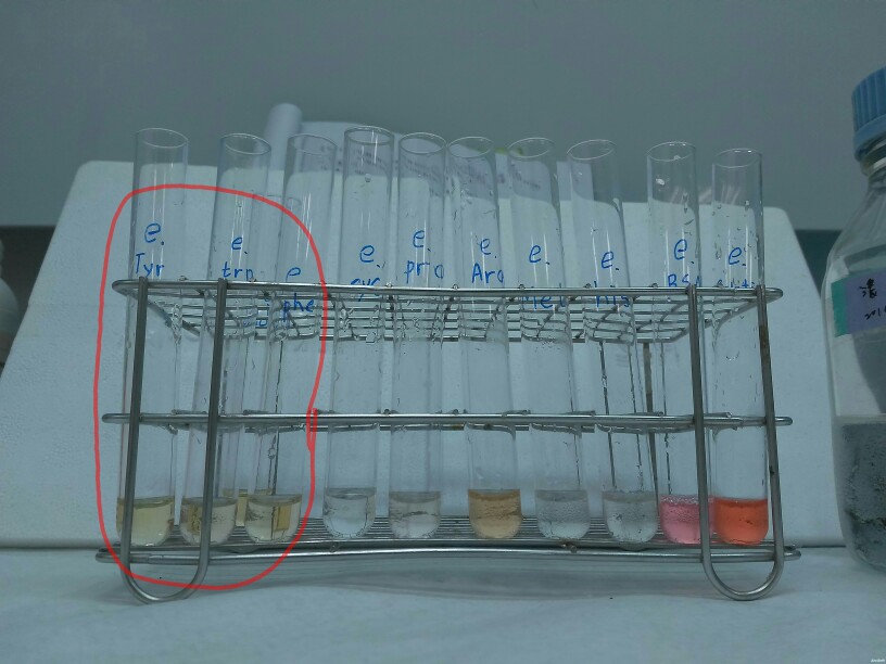 Solved Hello Teacher I Have Some Problems About My Chegg Com