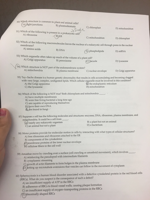 Solved: Which Structure Is Common To Plant And Animal Cell ...