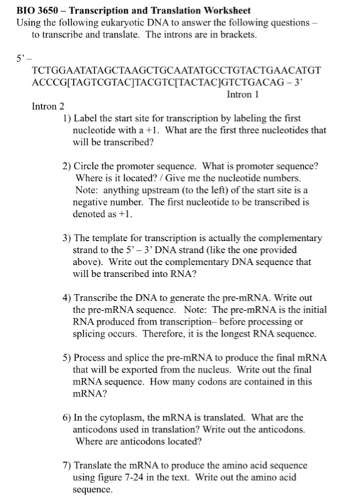 Bio 3650 Transcription And Translation Worksheet Chegg Com