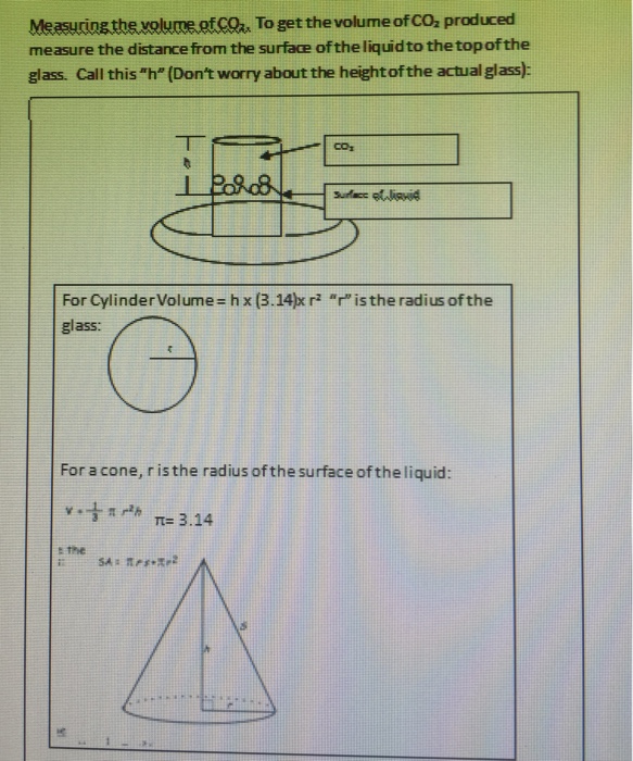 What is the first phase of glucose metabolism? image