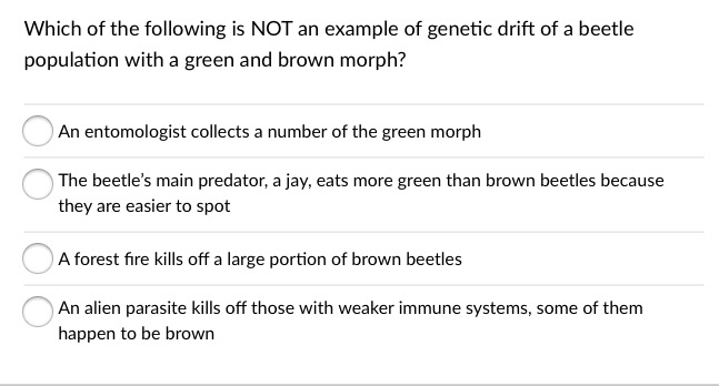 Genetic Drift Quiz | Biology - Quizizz Genetic Drift Quiz | Biology - Quizizz