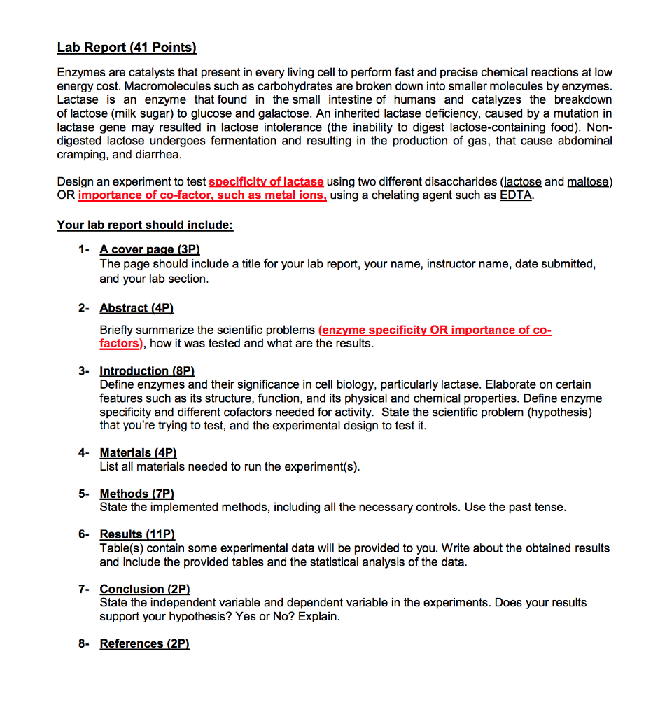 enzyme catalysis lab report