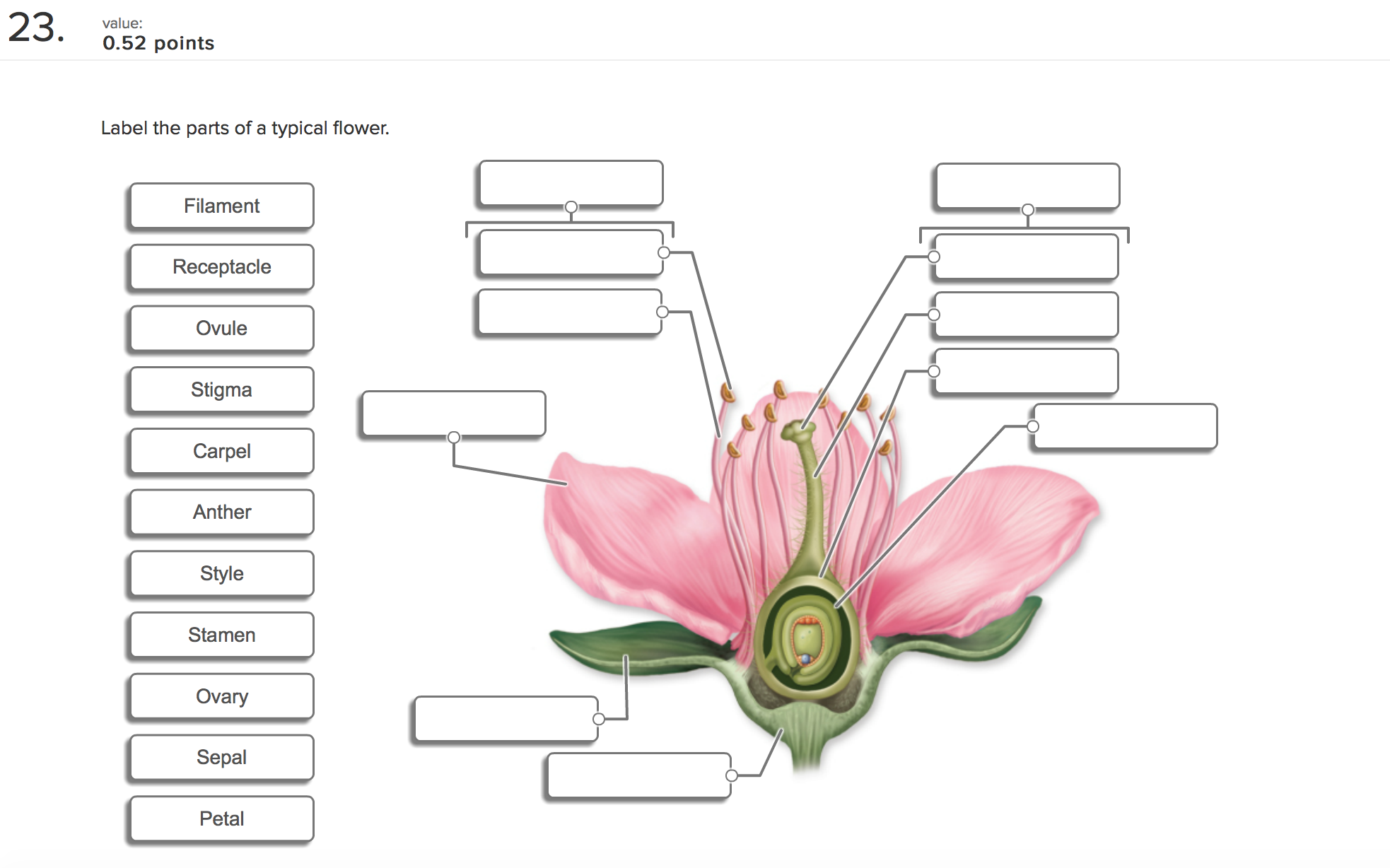 Solved  23  0 52 Points Value  Label The Parts Of A Typica