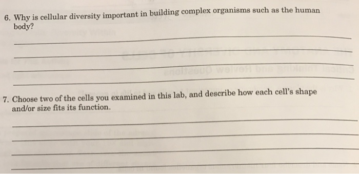 Questions about cells with answers picture