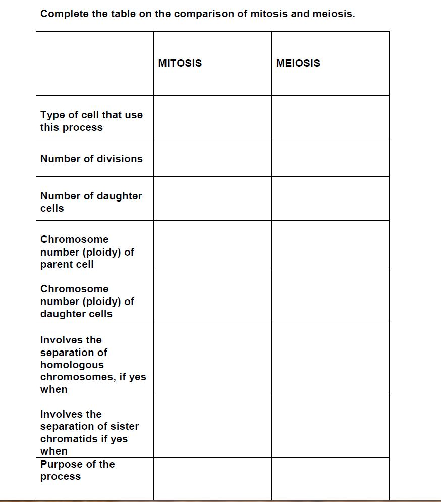 Mitosis Meiosis Differences Chart