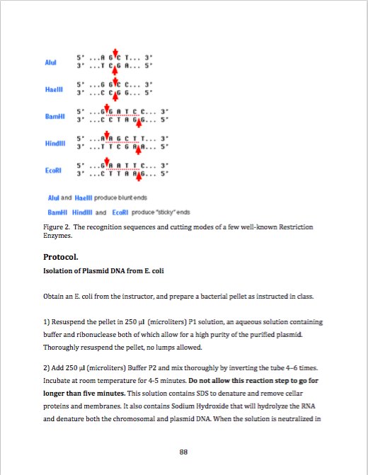 Solved Week 10 Restriction Enzyme PostLab Questions 1
