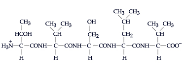 Hcoh