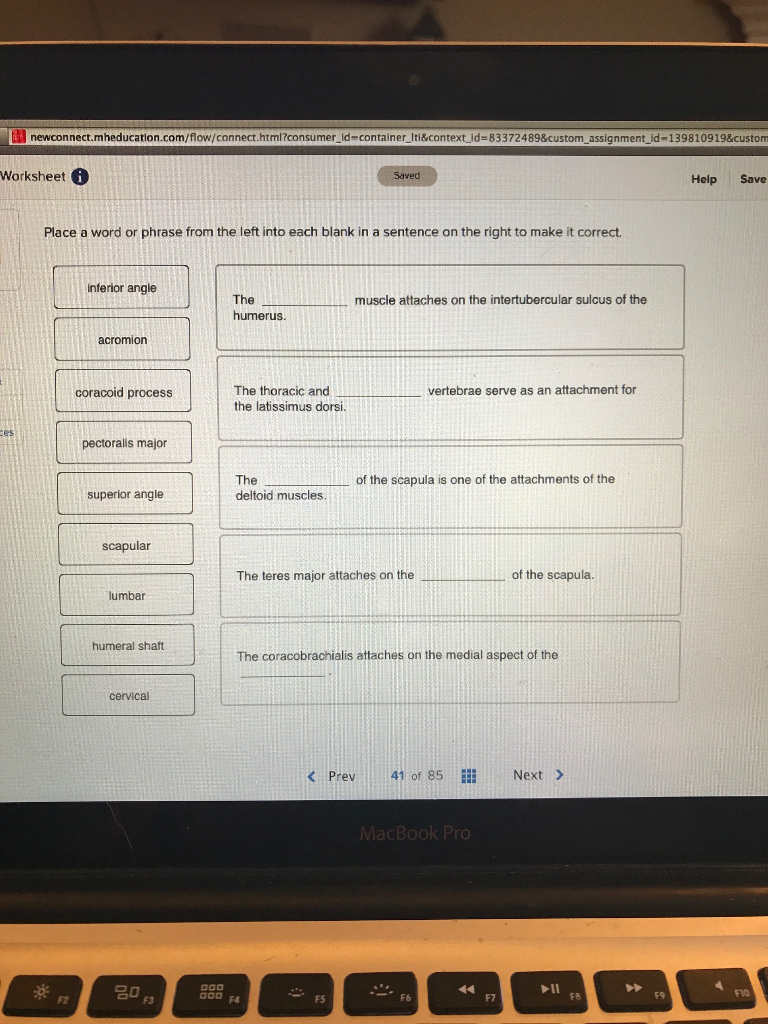 Solved Place A Word Or Phrase From The Left Into Each Bla...