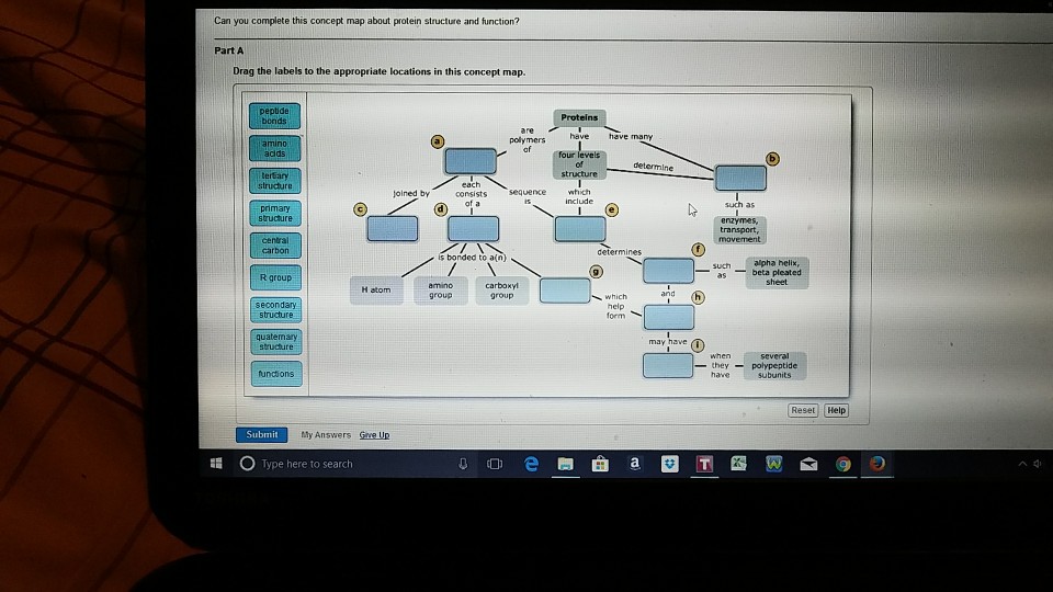 Can You Complete This Concept Map About Protein Structure And Function? Solved: Can You Complete This Concept Map About Protein St 