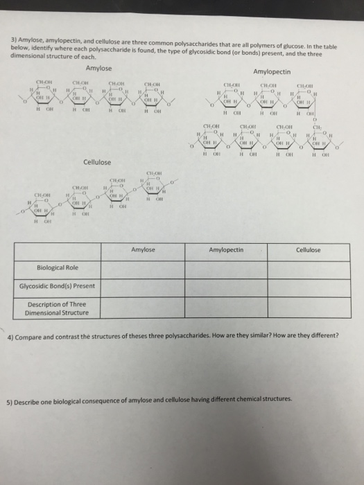 Carbohydrates structure and function worksheet answer key image