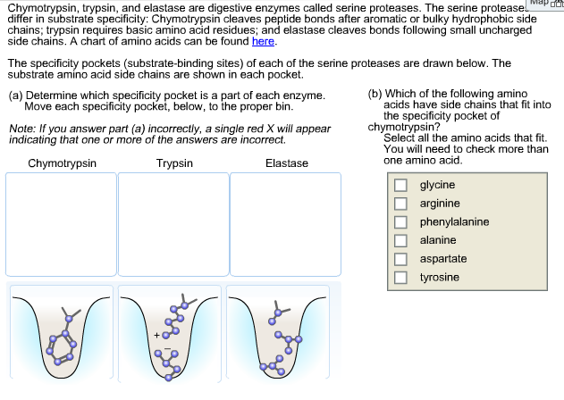 bulky hydrophobic amino acids