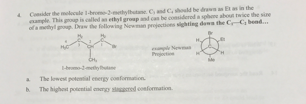 Consider The Molecule L Bromo 2 Methylbutane C 3 And Chegg 