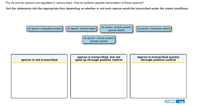 Solved: The Trp And Lac Operons Are Regulated In Various W 