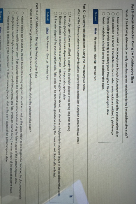 Part A Metabolic Events During The Postabsorptive Chegg 