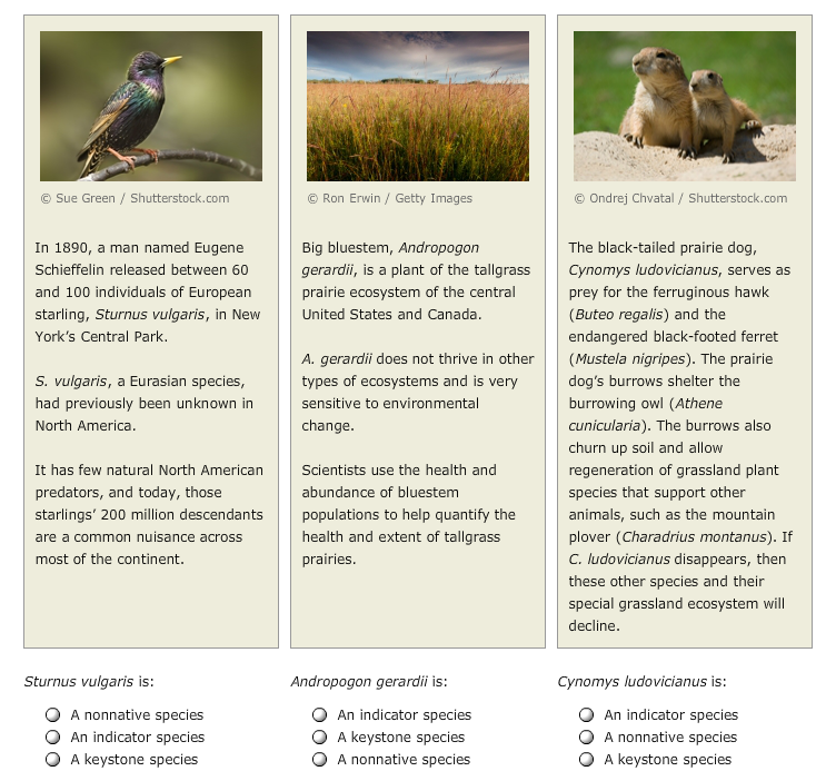 Solved Read Each Of The Following Passages. After Each Pa...