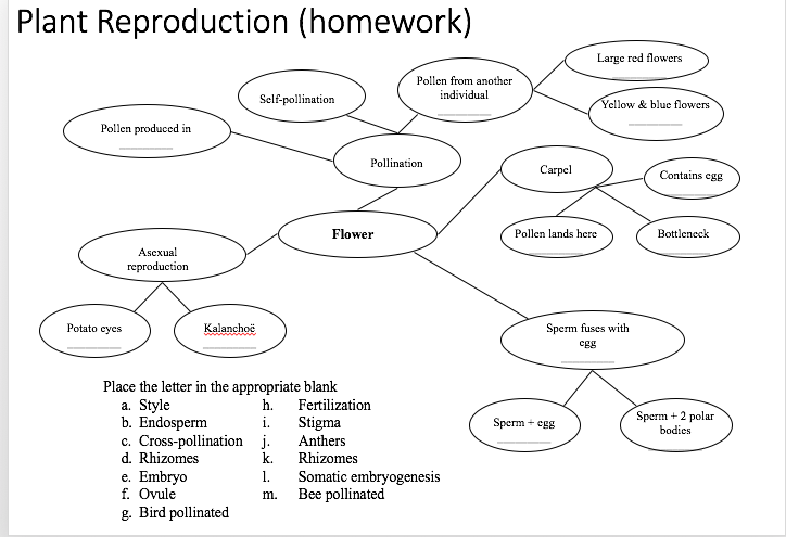 Plant reproduction homework picture