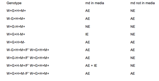 This Hypothetical Operon Consists Of Four Genes W G Chegg Com