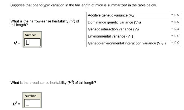 Suppose that phenotypic variation in the tail length of mice is summarized in the table below. 0.5 0.5 0.3 0.4 = 0.0 Additive genetic variance (VA) What is the narrow-sense heritability (h) of tail length? Dominance genetic variance (Vo) Genetic interaction variance (V) Environmental variance (VE Genetic-environmental interaction variance (VGE) Number What is the broad-sense heritability (H) of tail length? Number