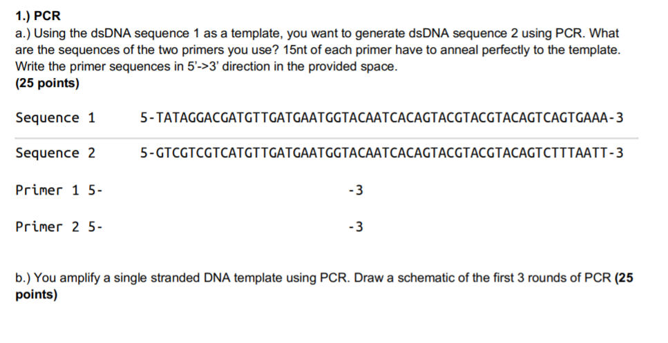 Solved 1 Pcr A Using The Dsdna Sequence 1 As A Templa Chegg Com