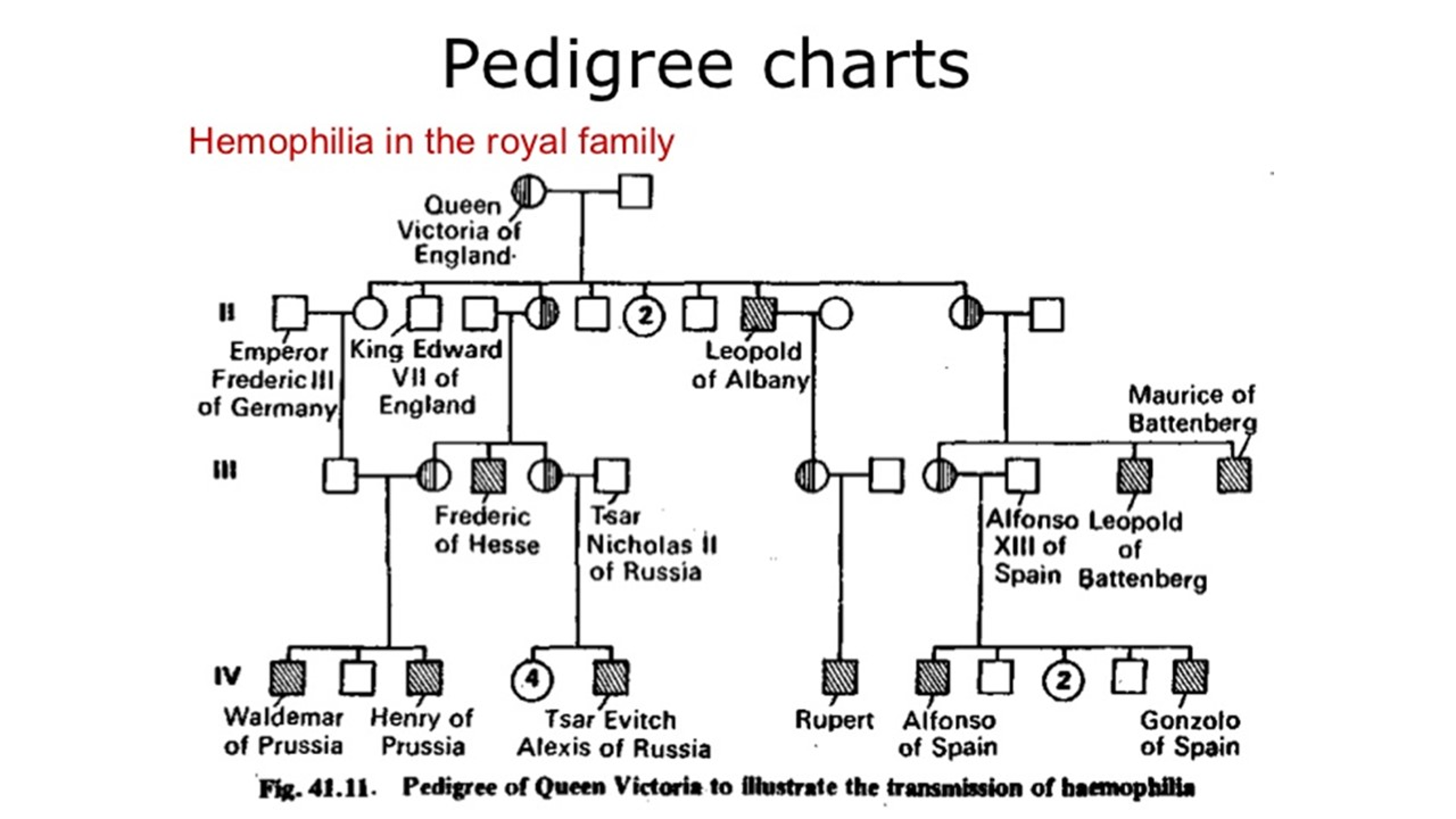 Hemophilia Inheritance Chart