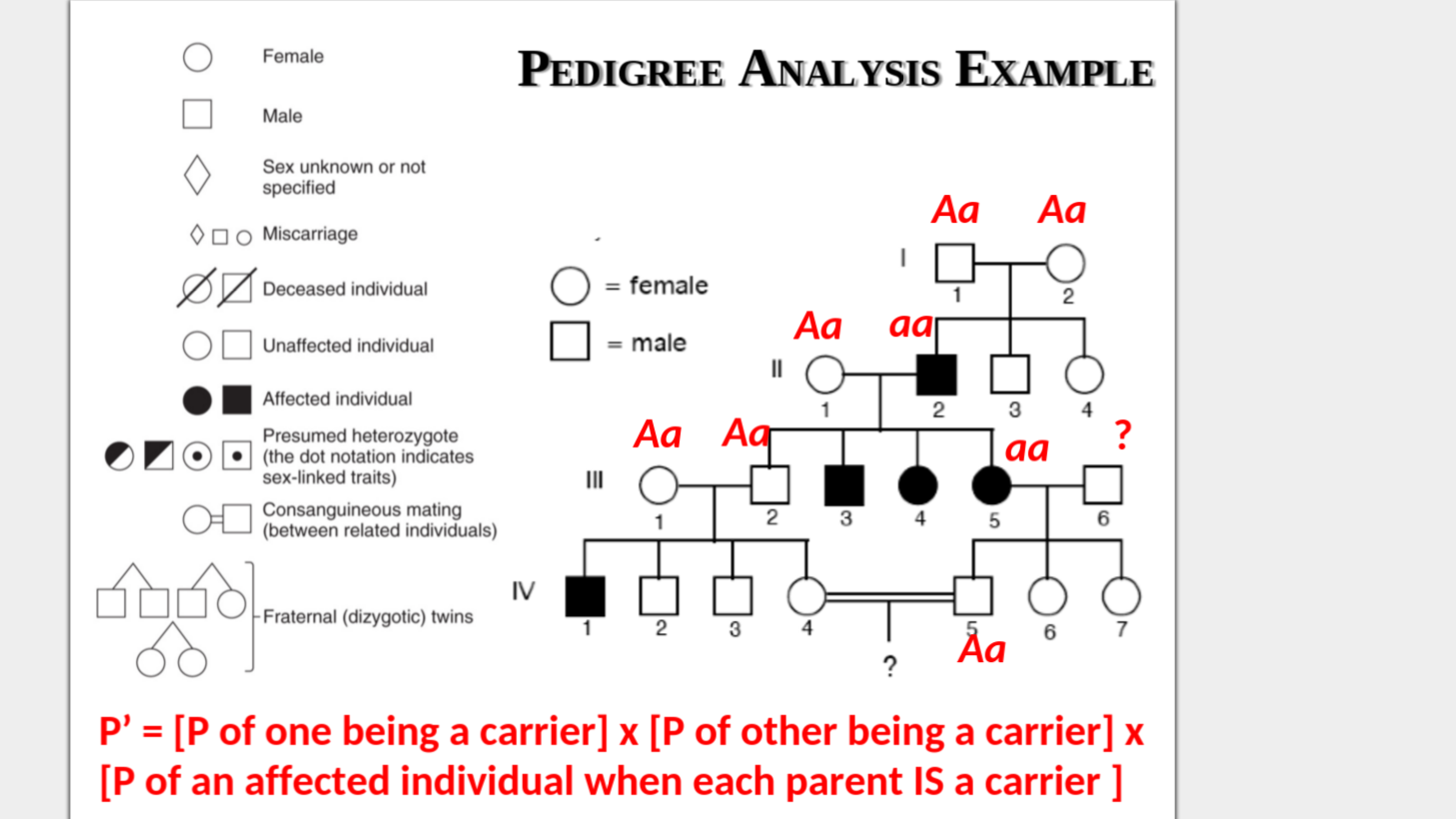 Female PEDIGREE ANALYSIS ExXAMPLE Male Sex unknown or not specified Aa Aa ◇...