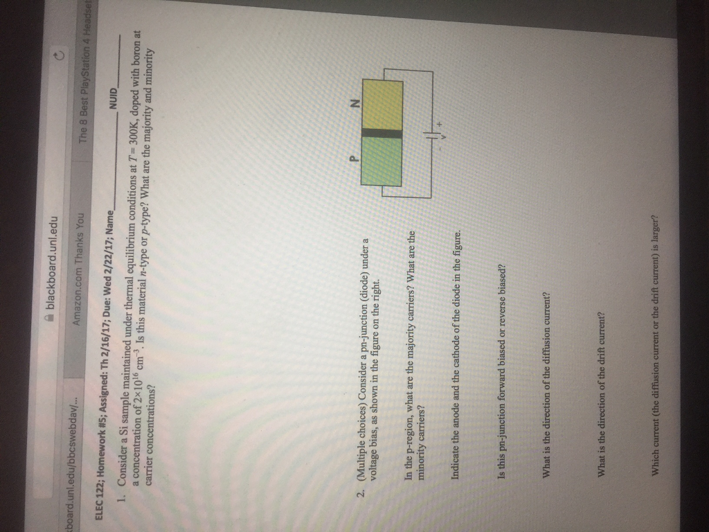 essay paper reports ks1