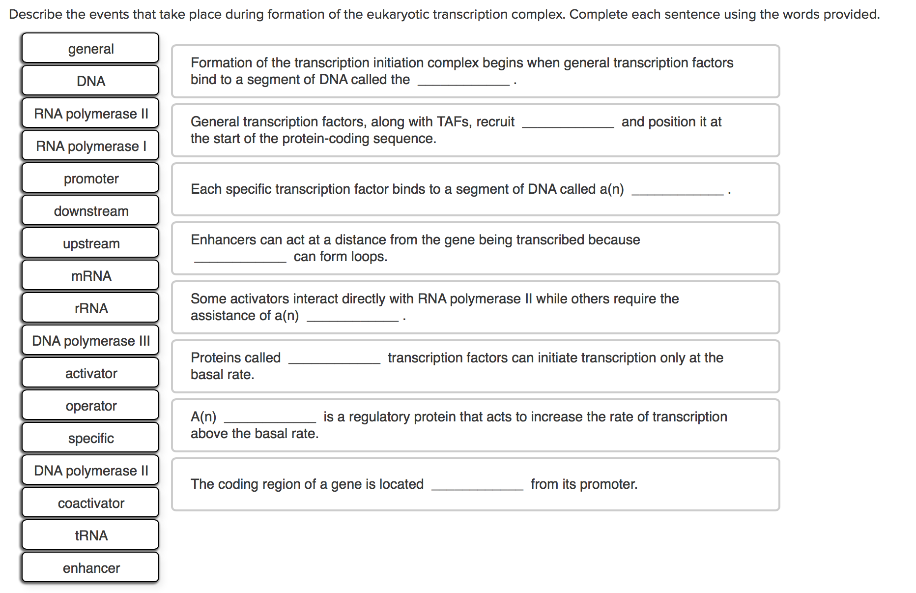 solved transcription complex describe