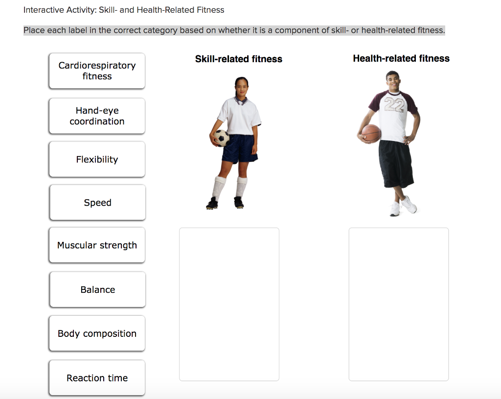 Interactive Activity: Skill- and Health-Related Fitness Place each label in the correct category based on whether it is a component of skill- or health-related fitness. Skill-related fitness Health-related fitness Cardiorespiratory fitness Hand-eye coordination Flexibility Speed Muscular strength Balance Body composition Reaction time