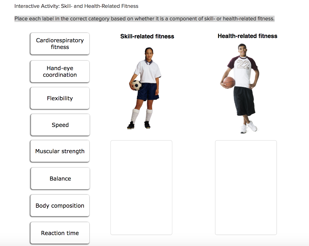 Skill-Related Fitness Components and Athletic Performance