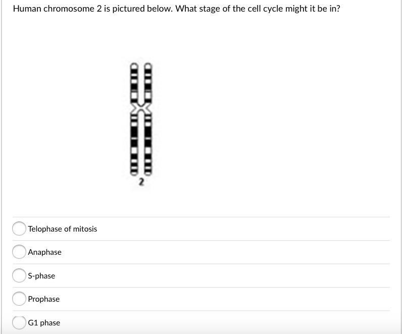 Solved Which Of The Following Statements About Sister | Chegg.com Solved Which Of The Following Statements About Sister | Chegg.com