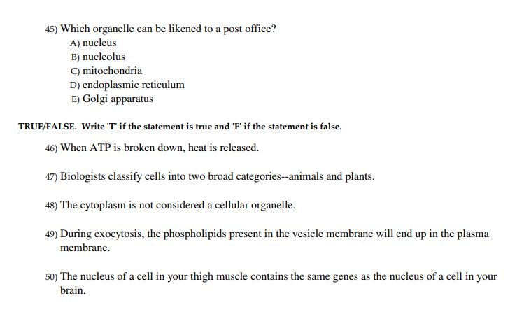 Solved 45) Which Organelle Can Be Likened To A Post Office? | Chegg.com Solved 45) Which Organelle Can Be Likened To A Post Office? | Chegg.com
