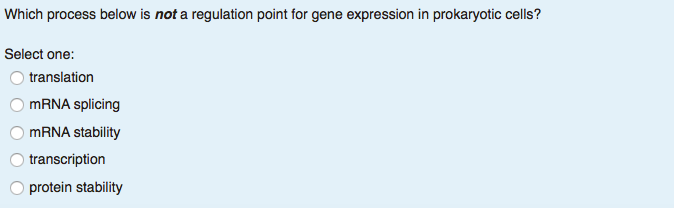 Question: Which process below is not a regulation point for gene expression in prokaryotic cells?  Select o...