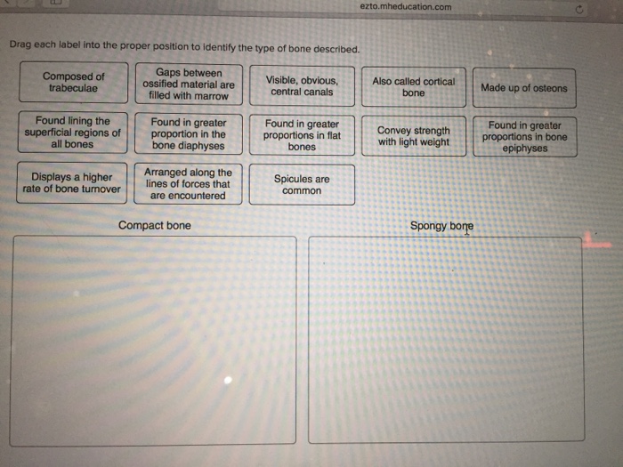 Solved: Drag Each Label Into The Proper Position To Identi ...