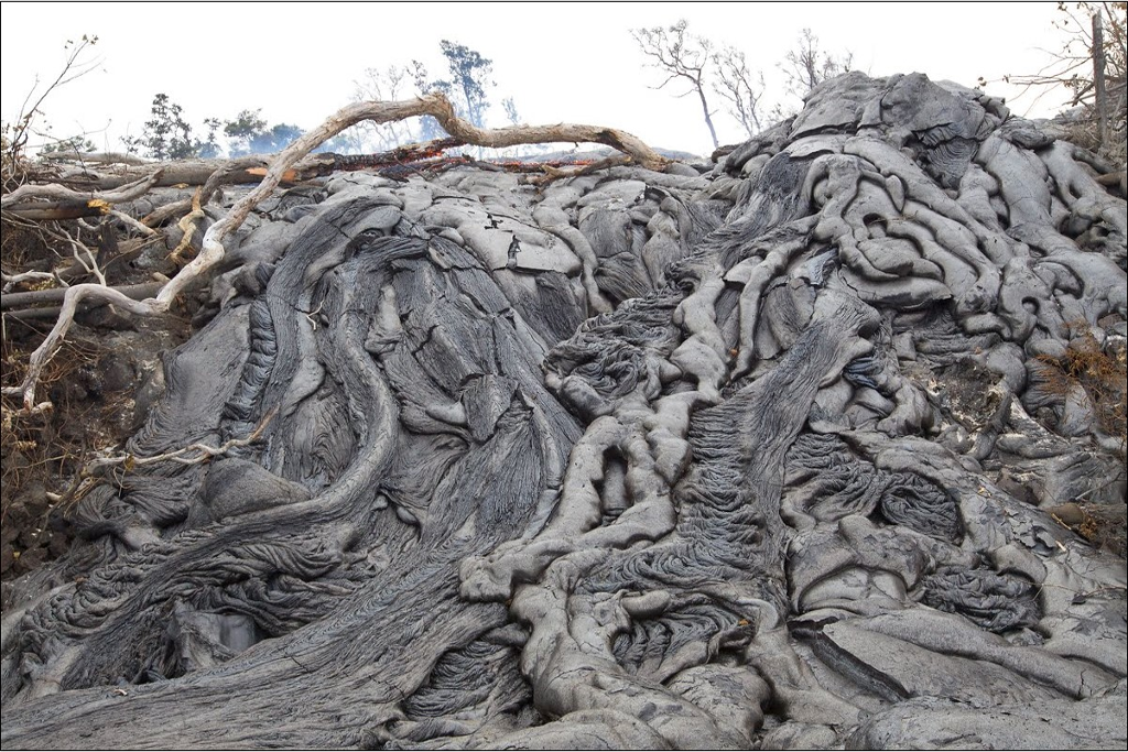 Solved Can You Please Answer All This 12 Question Properl