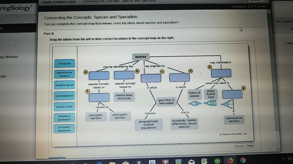 Can You Complete This Concept Map That Reviews Some Key Ideas About Macroevolution? Solved: Connecting The Concepts Es AndSpeciadon RingBiolog 