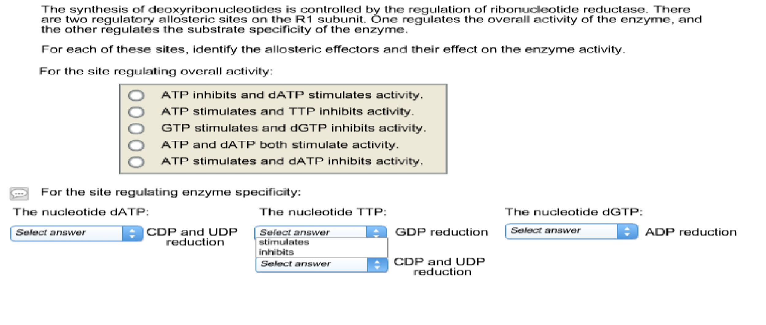 ribonucleotide reductase regulation