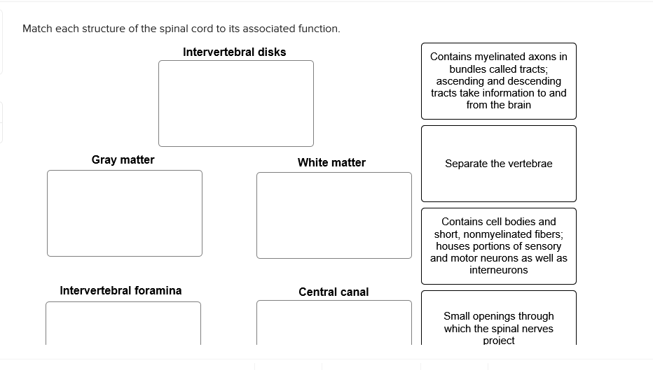 Solved Most Illicit Drugs Affect The Nervous System By Chegg Com