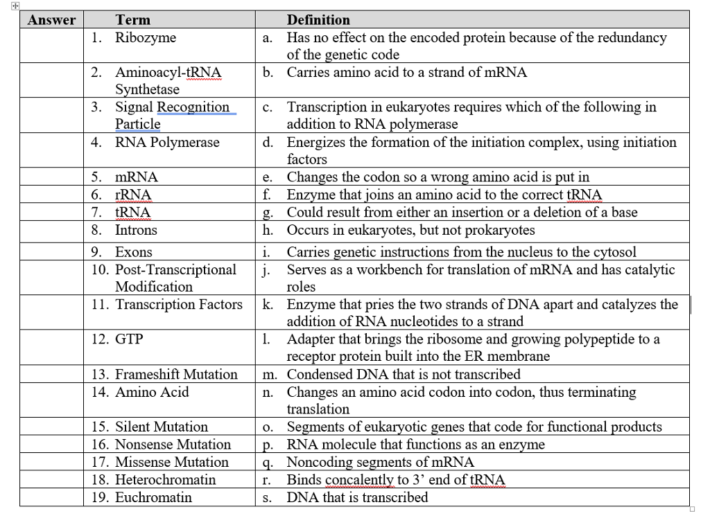 ribozyme definition