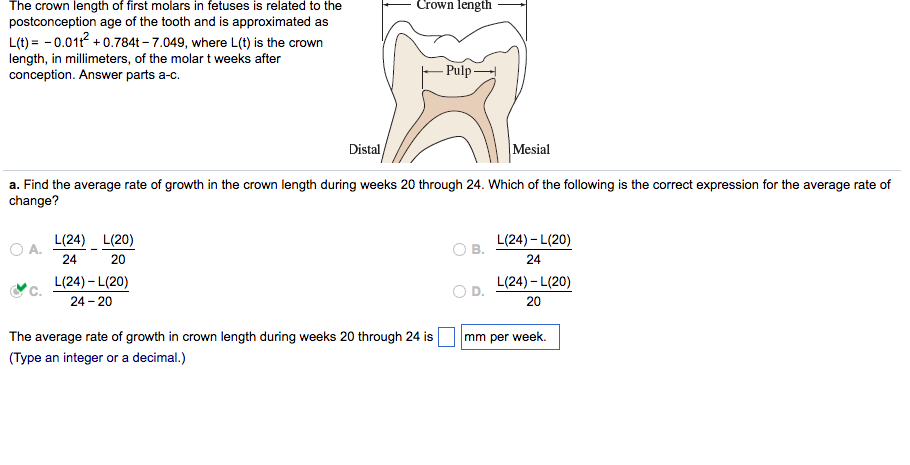 average age for first tooth