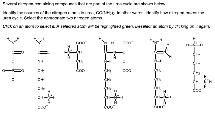 Host homework help questions answers question