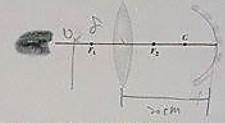 The figure below shows a thin converging lens for