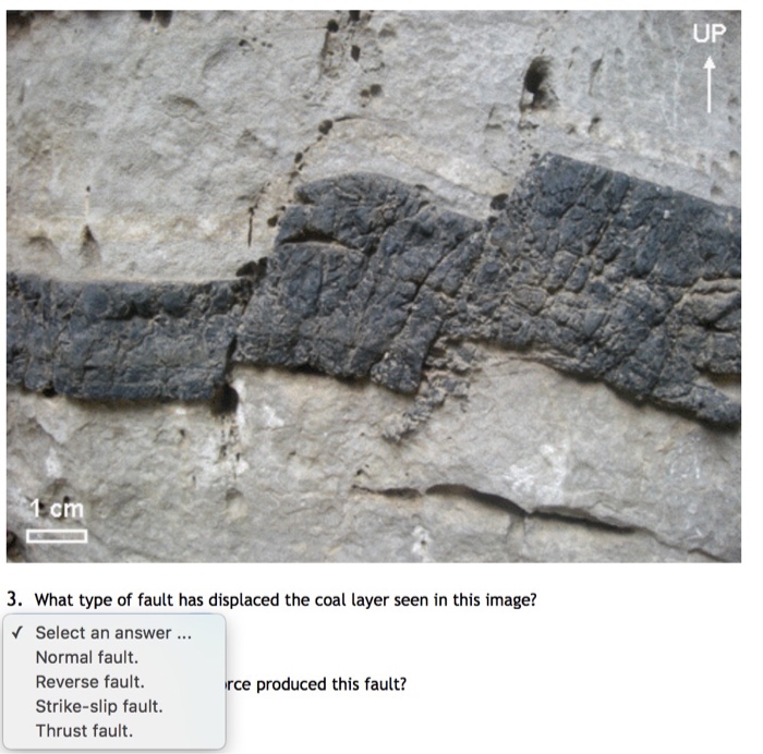 Coals homework image