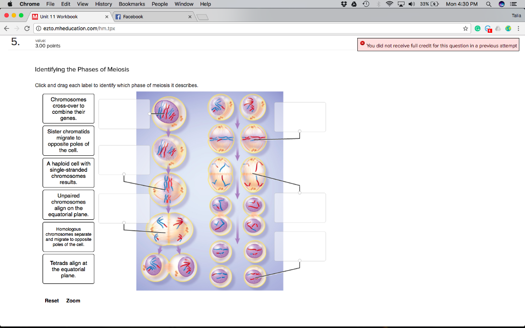 click and drag on elements in order