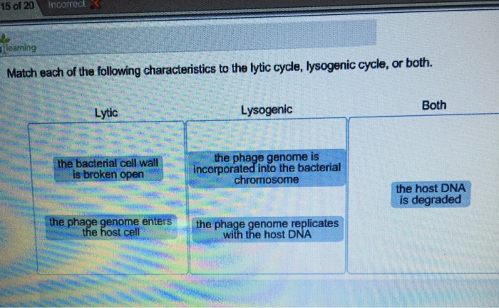 Solved Match Each Of The Following Characteristics To The | Chegg.com
