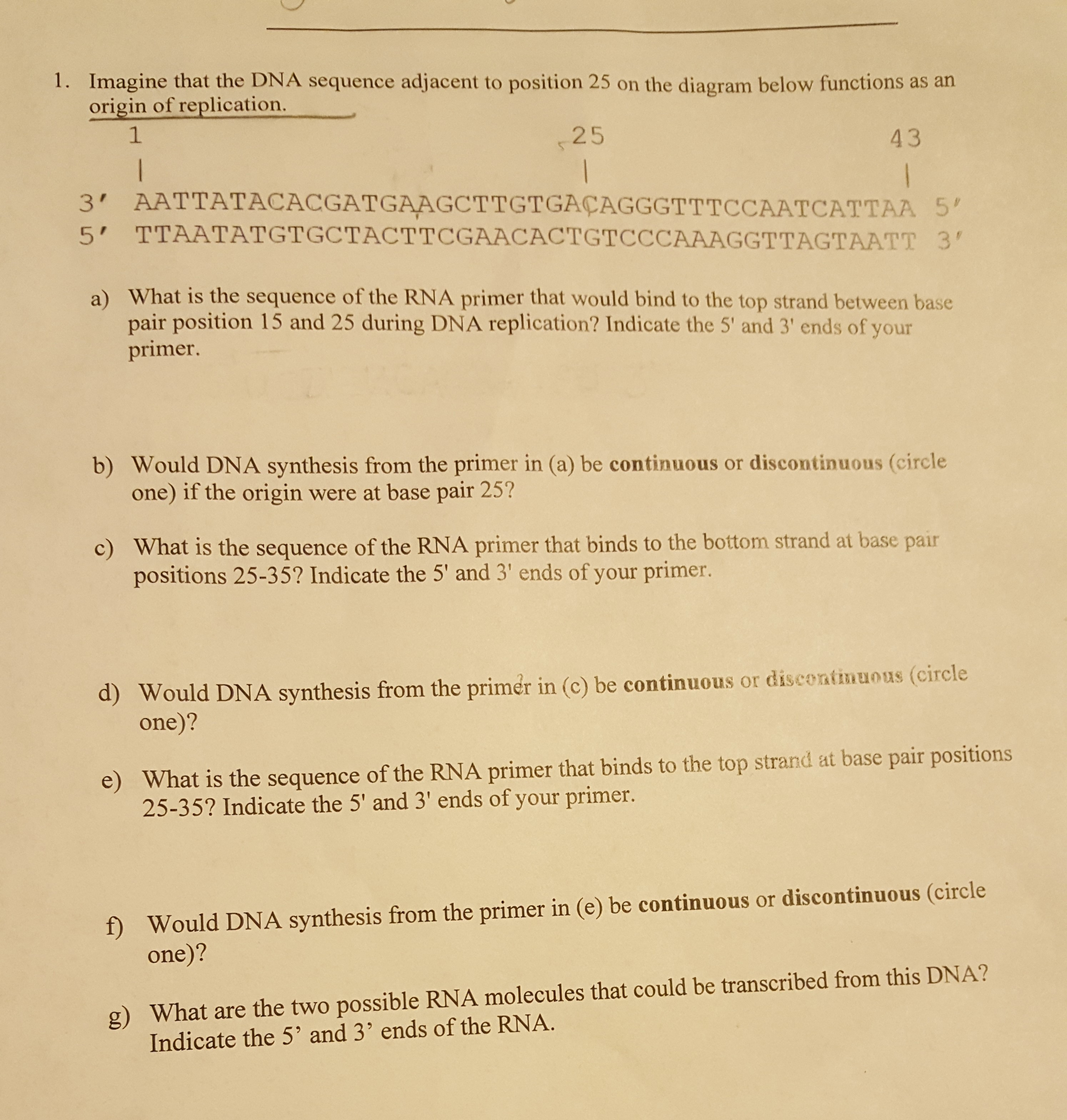 imagine that the dna sequence adjacent
