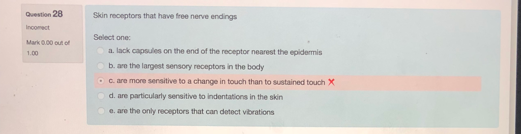 Solved Question 28 Skin Receptors That Have Free Nerve En Chegg Com