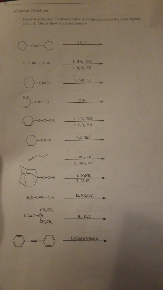Nbs homework 08 image