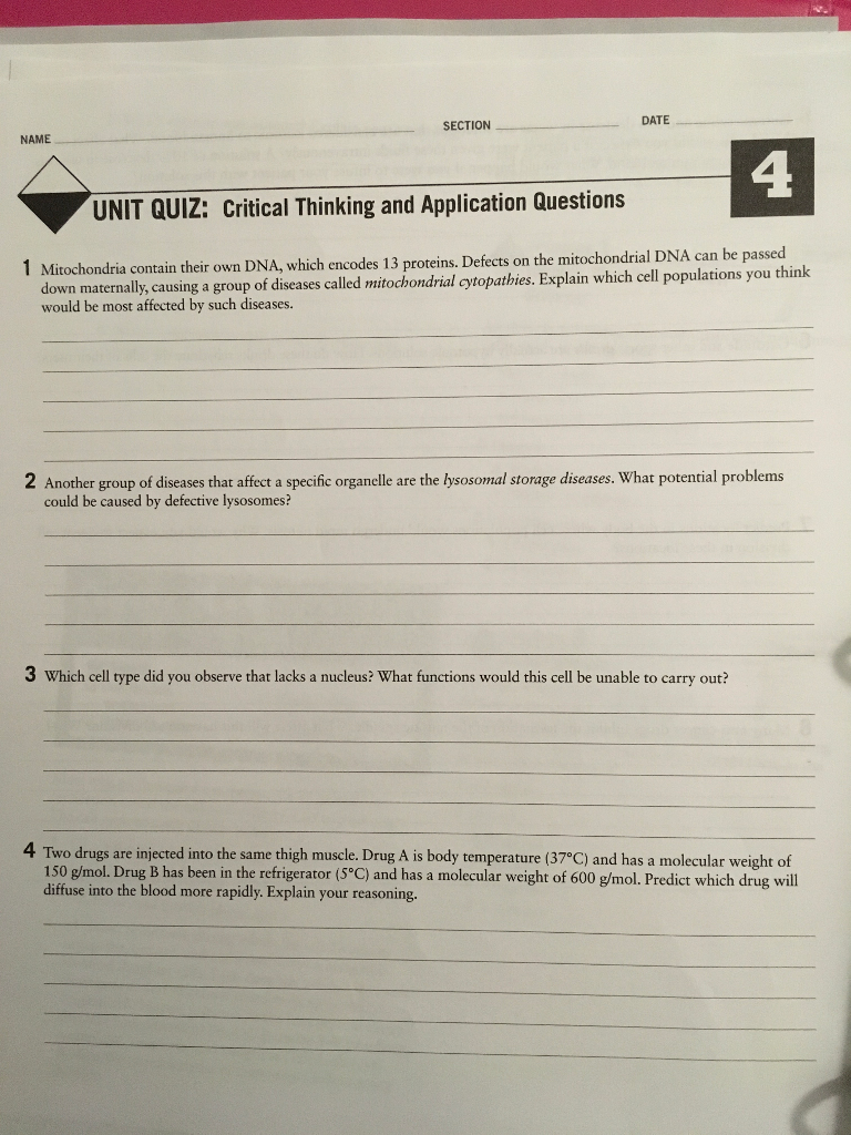 Critical thinking questions cell organelles picture